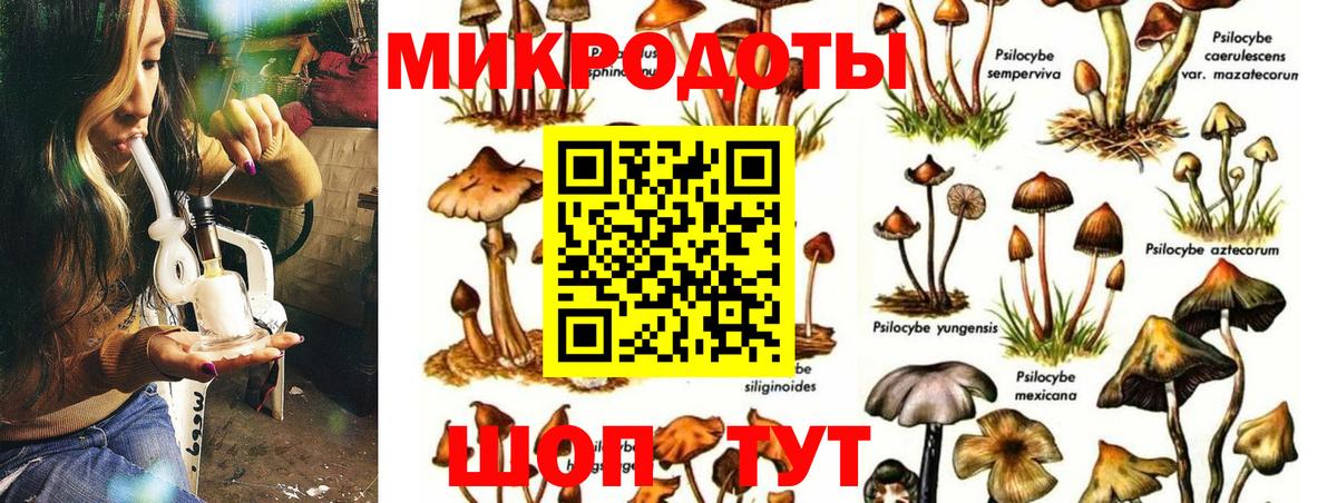 Псилоцибиновые грибы мухоморы Шелехов