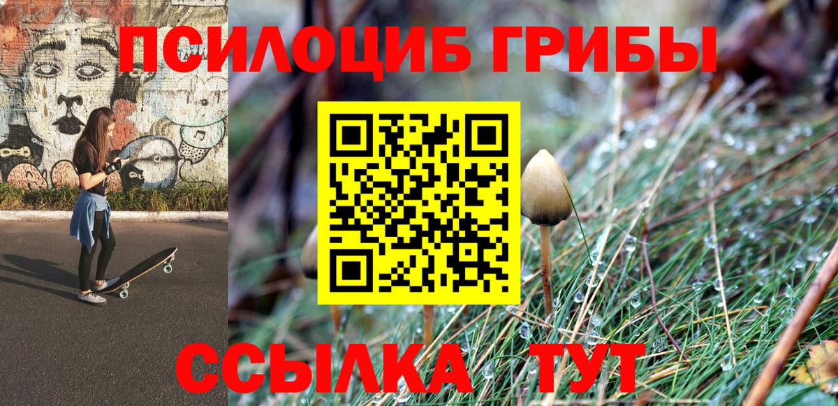 Псилоцибиновые грибы MAGIC MUSHROOMS  где купить наркоту  Шелехов  Вход с VPN 